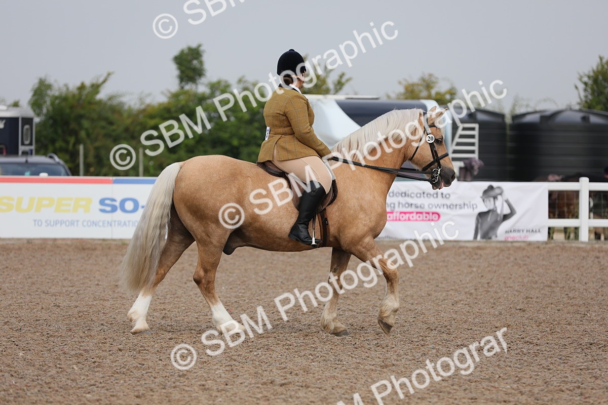 SBM_09971 - Class 302 Ridden M&M -Large Breeds