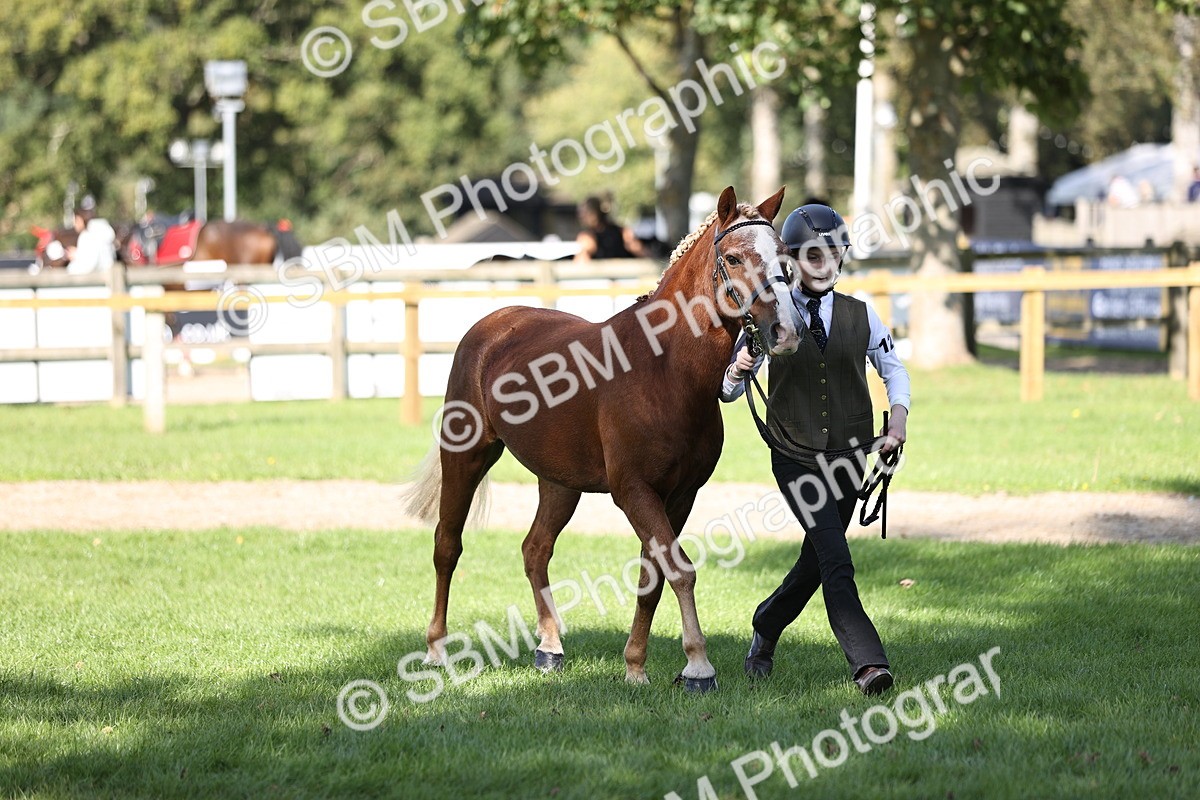 SBM_26216 - S5 - Novice & Newcomers In Hand