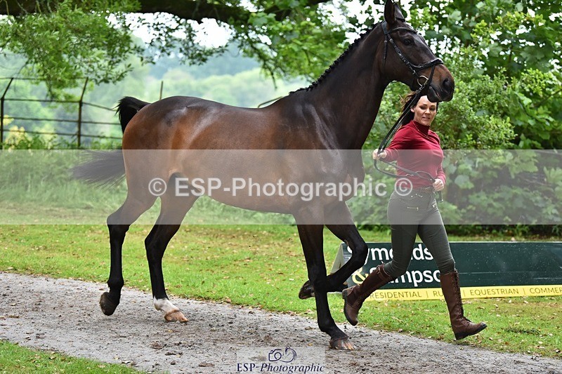 240522-171306-01460 - 254-KILBUNNY_RIOJA-Kate_Penny