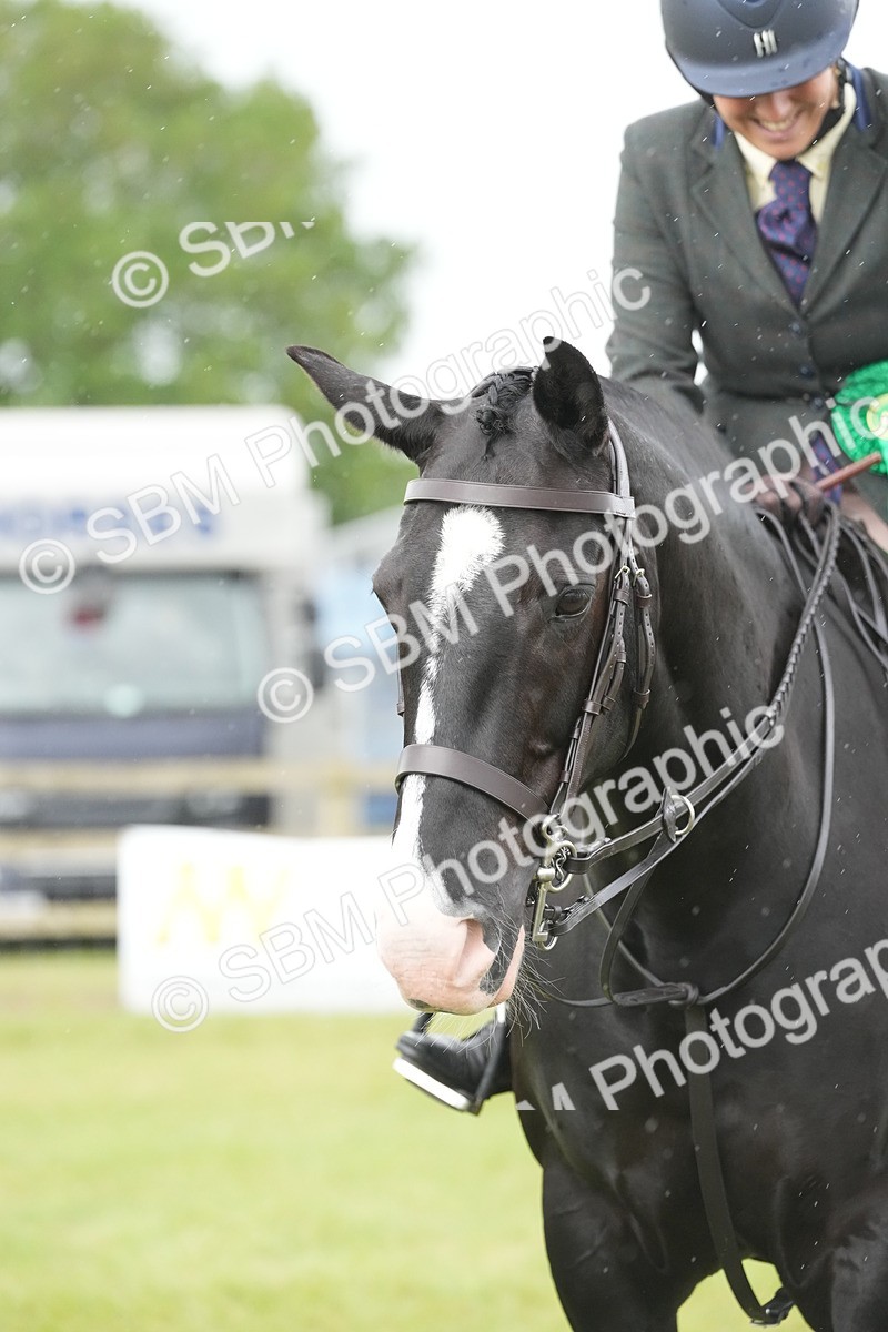 SBM_12810 - Class 97-98 - LIHS BSHA Rising Star Working Show Horse Hunter