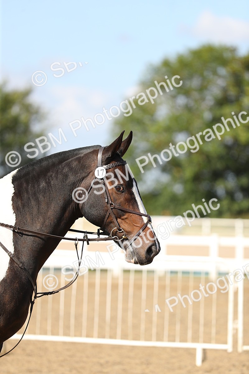 SBM_03185 - Class 44 Riding Club Horse/ Pony