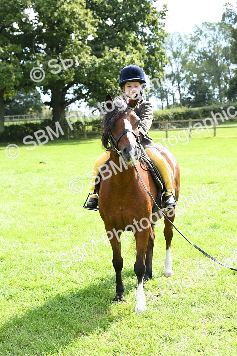 SBM_42584 - S20 - Lead Rein Mountain & Moorland Pony