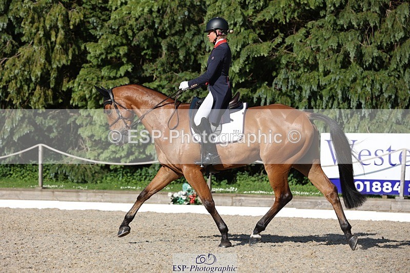230526-175216-08050 - 182-HARTHILL_FLAMENCO-Izzy_Taylor-WEDTrotUp+DR