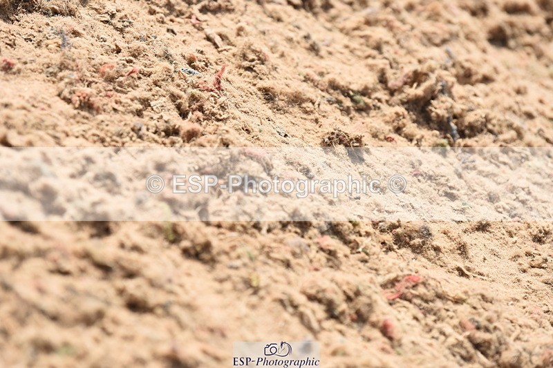 230915A-132916-00515 - Cls 11 Snr Discovery & 1m Open