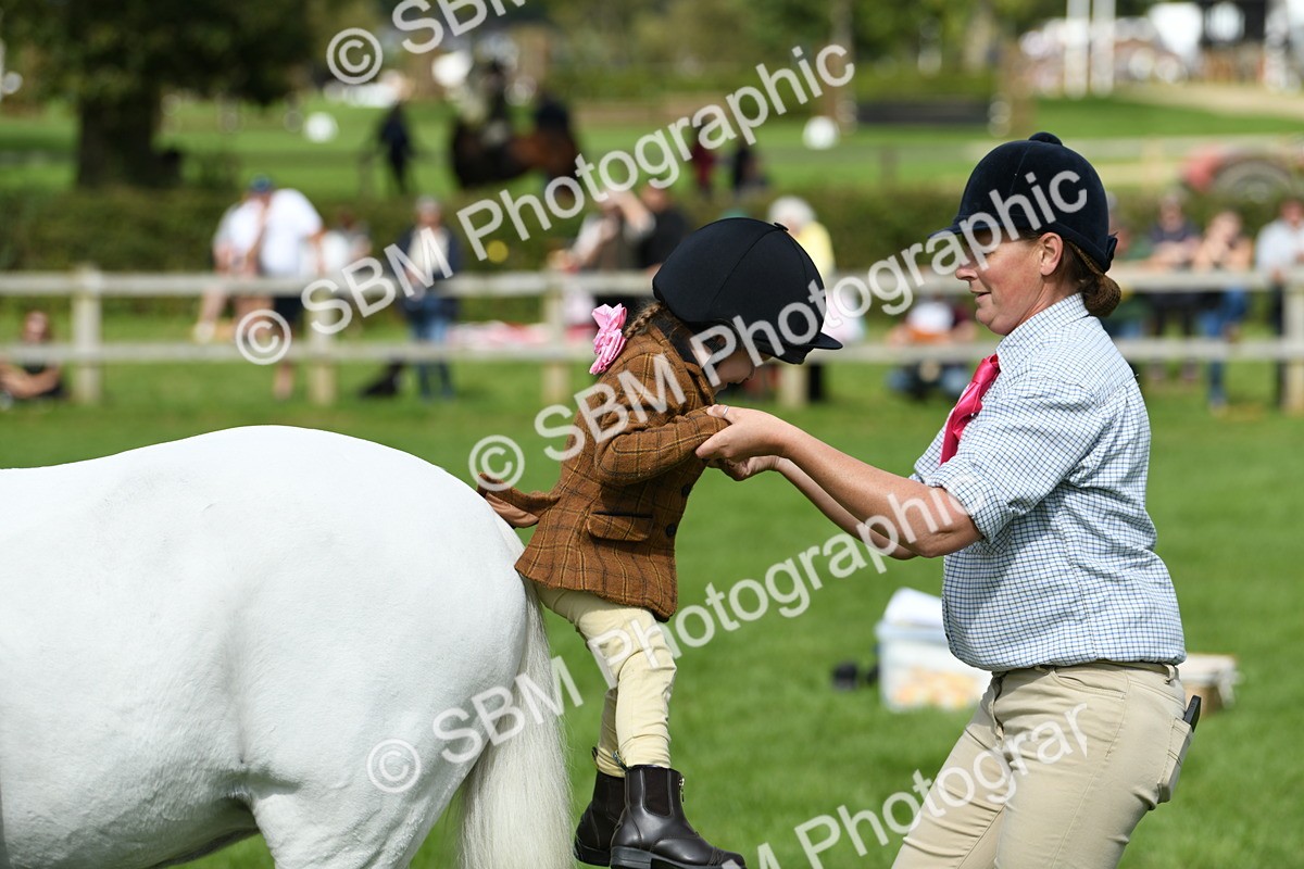 SBM_46803 - S12 - Family Horse & Pony
