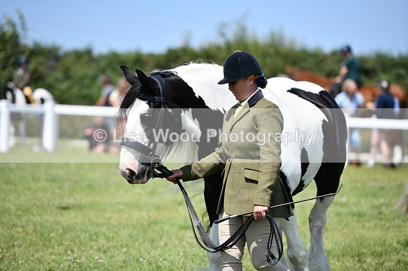 DSC_7693 - Class 64: Coloured Pony 4yrs & over