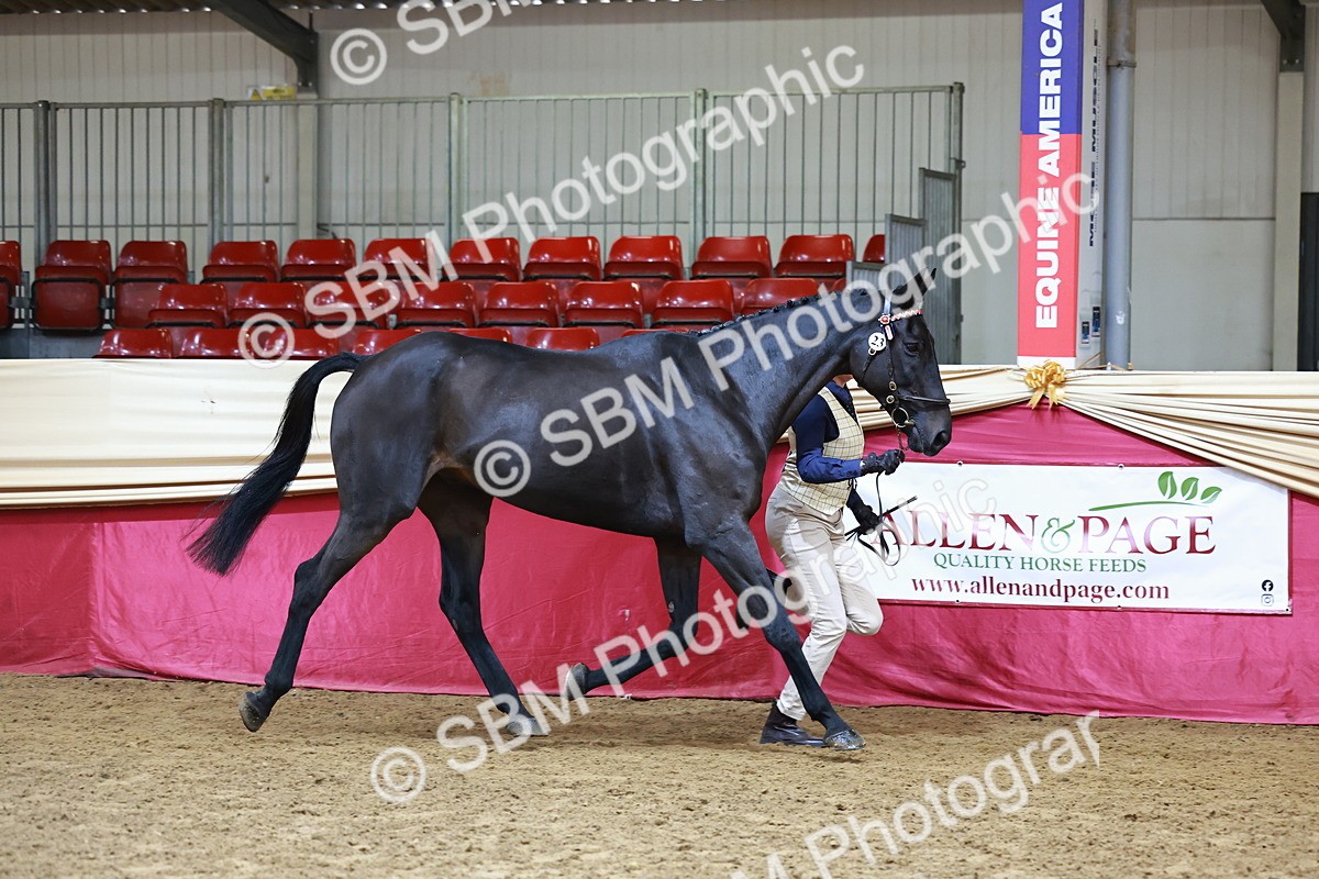 SBM_22220 - Class 902 - Supreme Final - IH Diamond