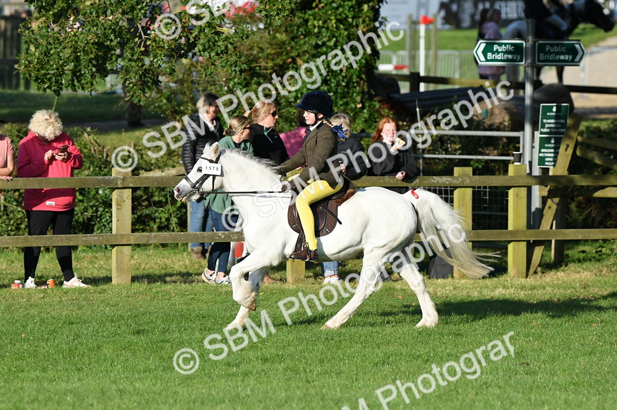 SBM_54089 - S23 - 1st Ridden Mountain & Moorland Pony