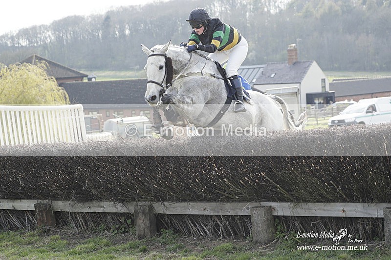 PtP 080423 794 - Dingley Races The Woodland Pytchley Hunt PtP 08/04/23