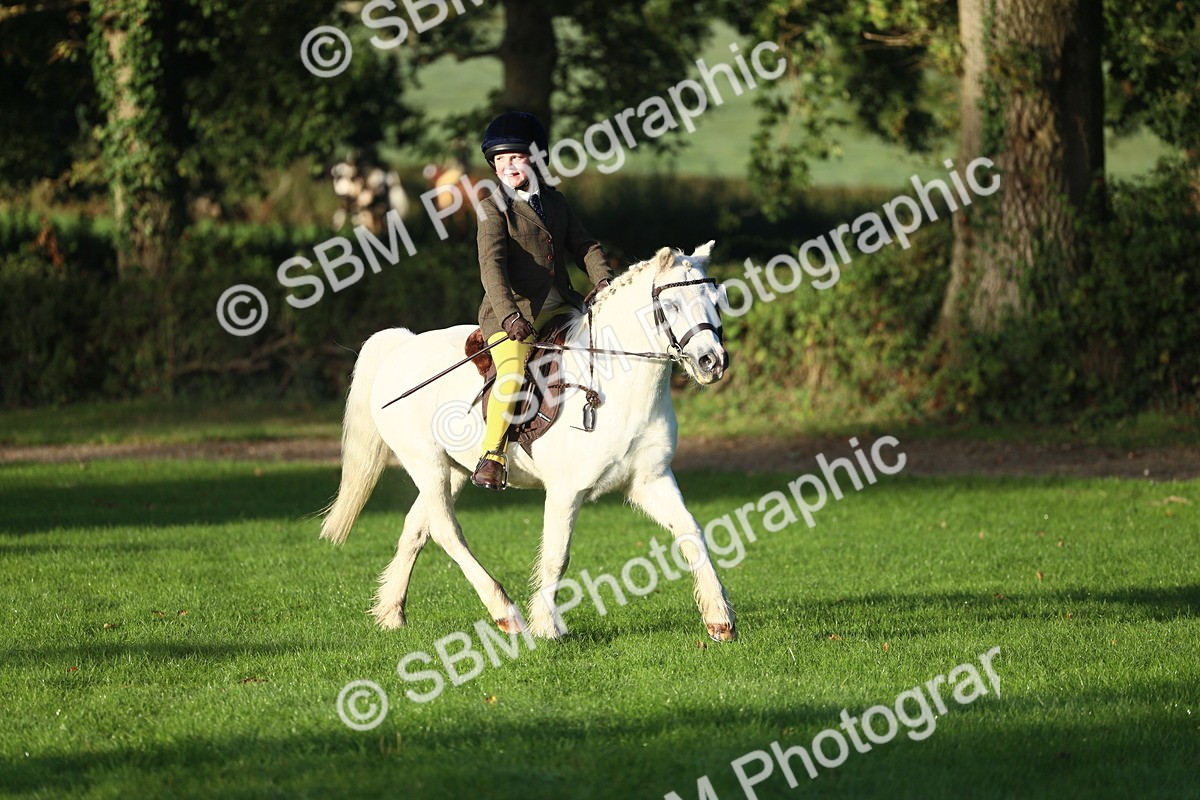 SBM_31768 - S28 - Nursery Stakes Working Hunter Pony