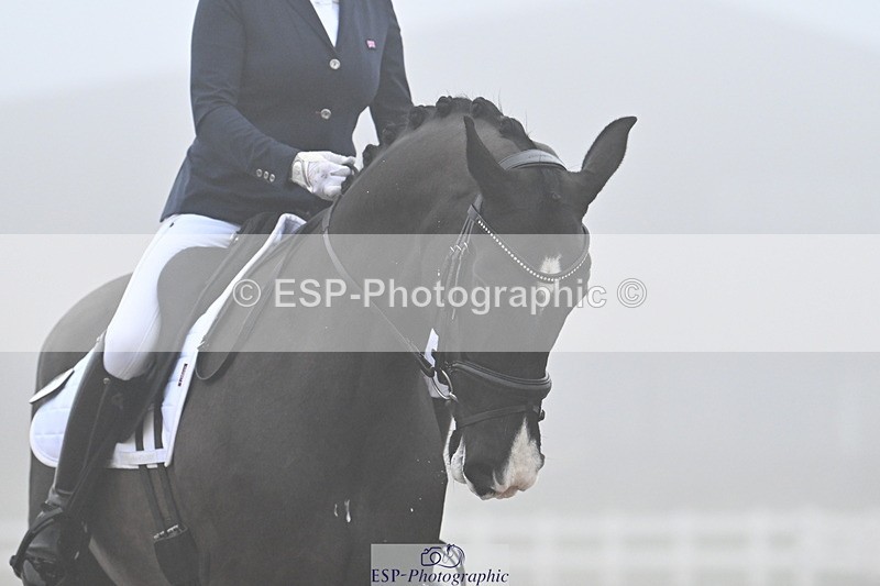 240217A-102805-01371 - 140-Mandy.Day-Nikki-Vajaps