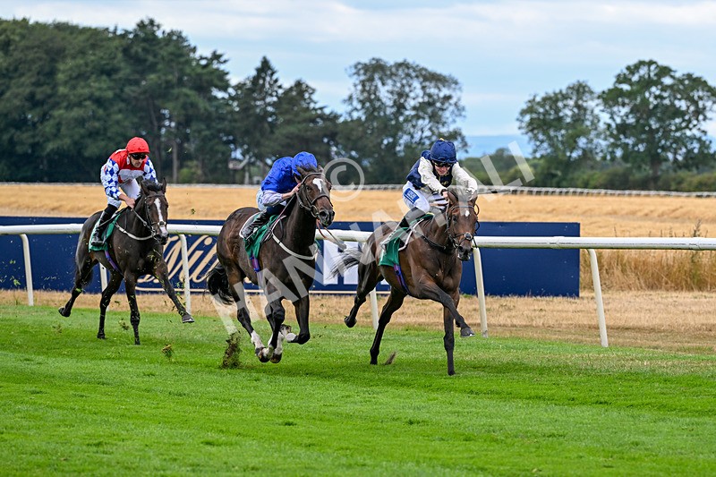 070826-Race 3-Bymiddaytomorrow-1686 - Race 3 15.10pm Peter Bell Memorial Fillies' Nursery Handicap