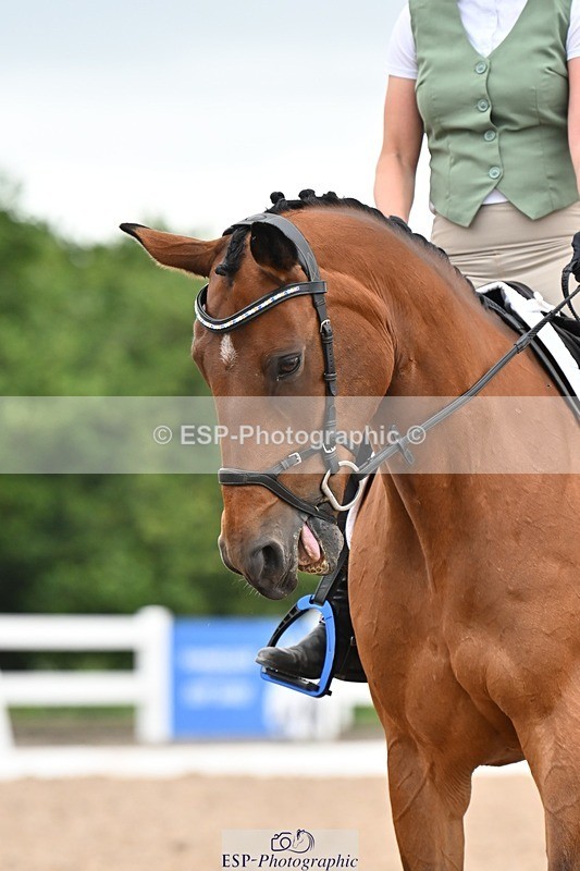 250705-175536-04335 - N2 Section BDNOV2 16.29 to 17.46