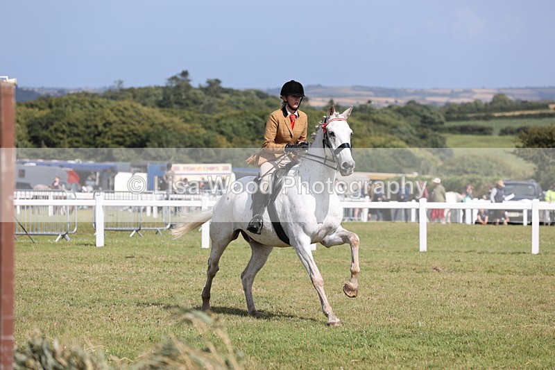 JPP_2499 - Class 20: Working Hunter 70cm