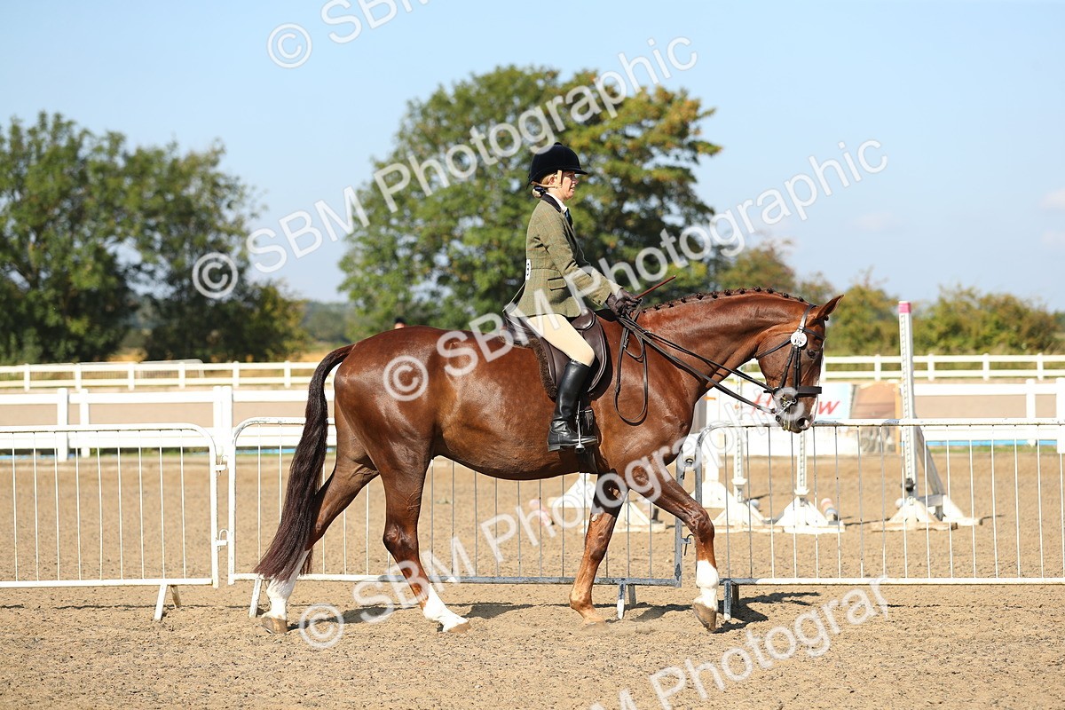 SBM_02172 - Class 43 Ridden Competition Horse/Pony
