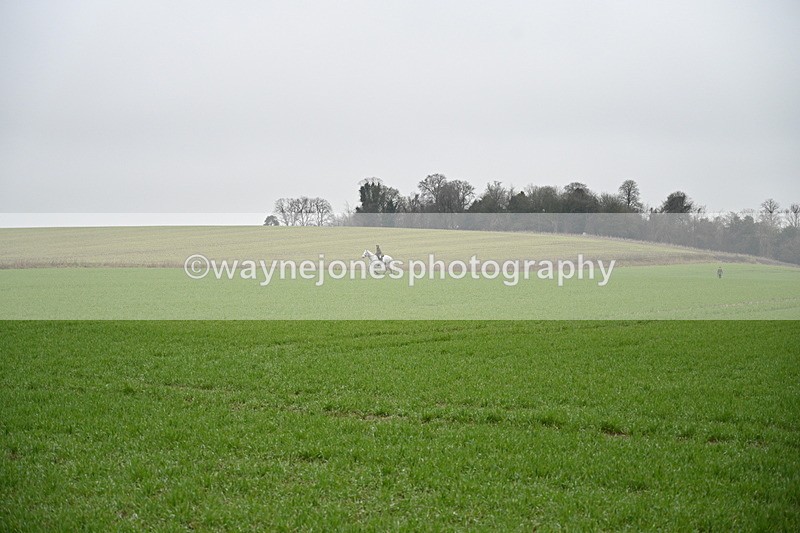 WJ7_9731 - Walk out..