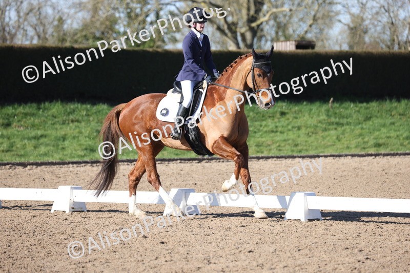 20260214-0335 - Class 4 - Novice 2