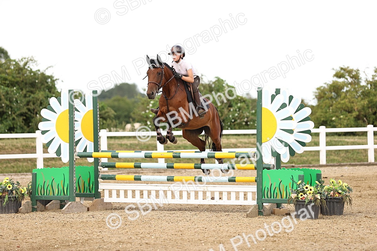 SBM_002593 - Class 19 - Nupafeed Supplements Senior Discovery - 1.00m