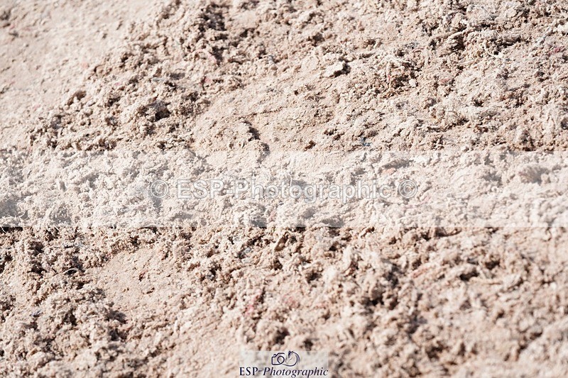 250425-135744-10111 - Cls 34 Young Horse 7yr old