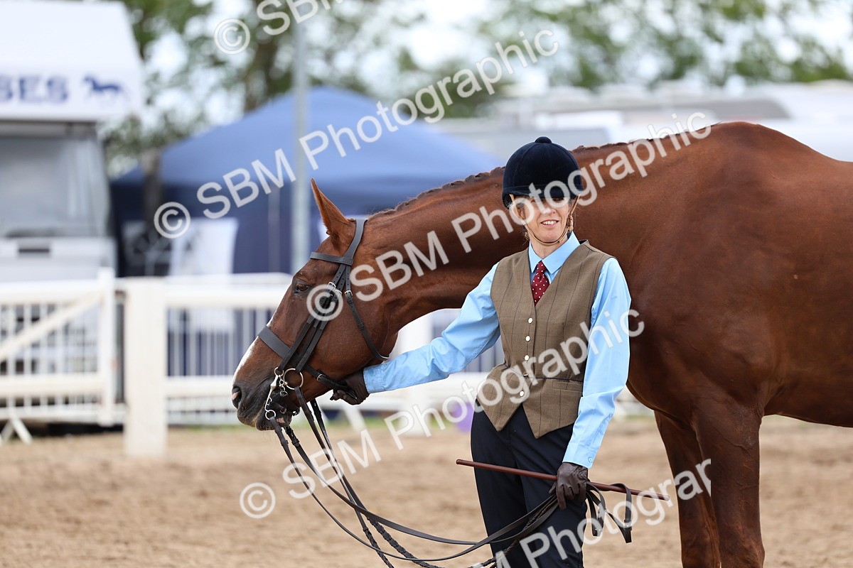 SBM_05103 - Class 27 - IH Competition Horse or Pony