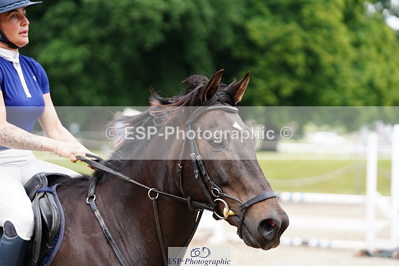 250615A-095614-09977 - Class 43 British Novice 90cm Open