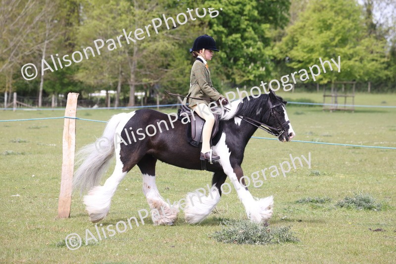 20260426-2942 - Class 33 - Best Pony 14.2hh and Under