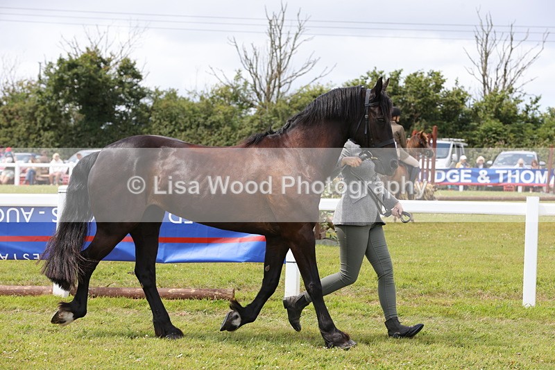 1X9A4770 - Class 35: Veteran In Hand