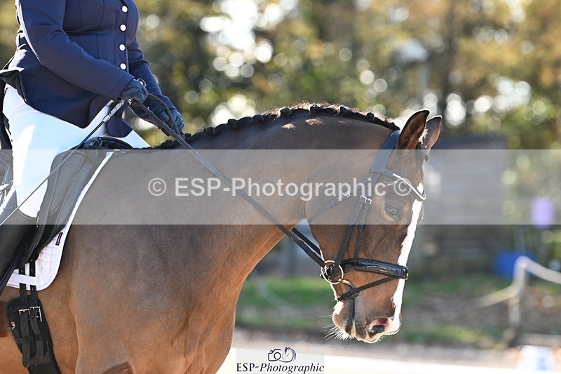 231110-120356-00562 - Cls 3 Novice 22