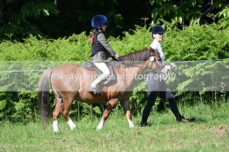WJ7_0693 - Class 8 First Rally Pony