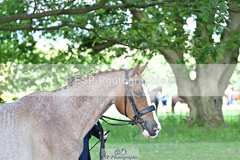 250521A-160904-00941 - C-282-Harry.Meade-NASHVILLE