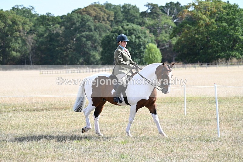 WJ7_2696 - Class 8 Ridden Tack & Turnout