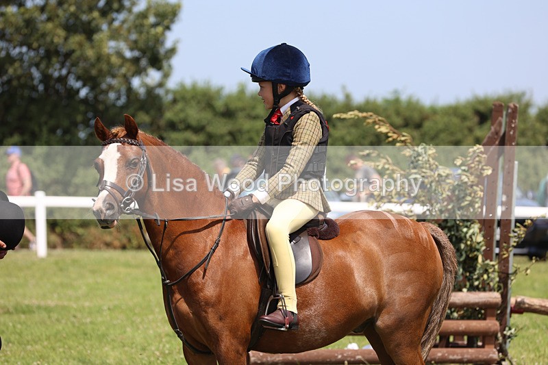 JPP_2493 - Class 21: Working Hunter 60cm