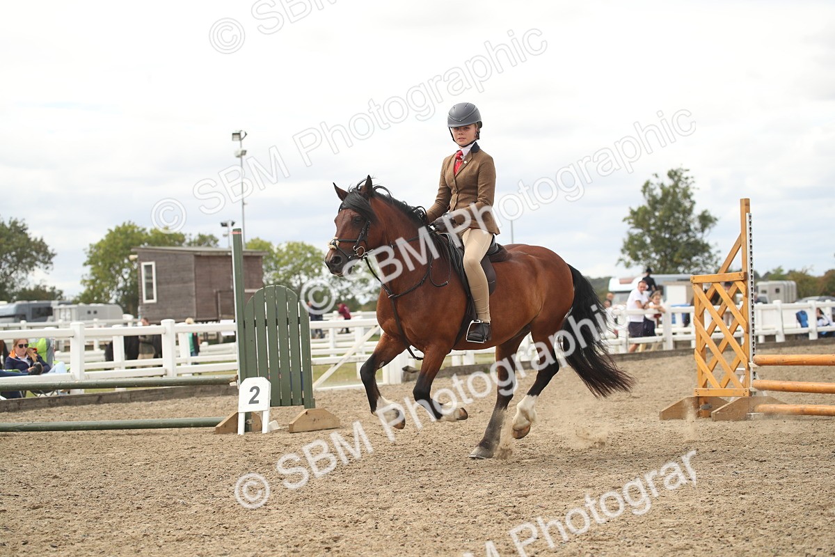 SBM_16789 - Class 507b - Working Veteran 60cm (20+)