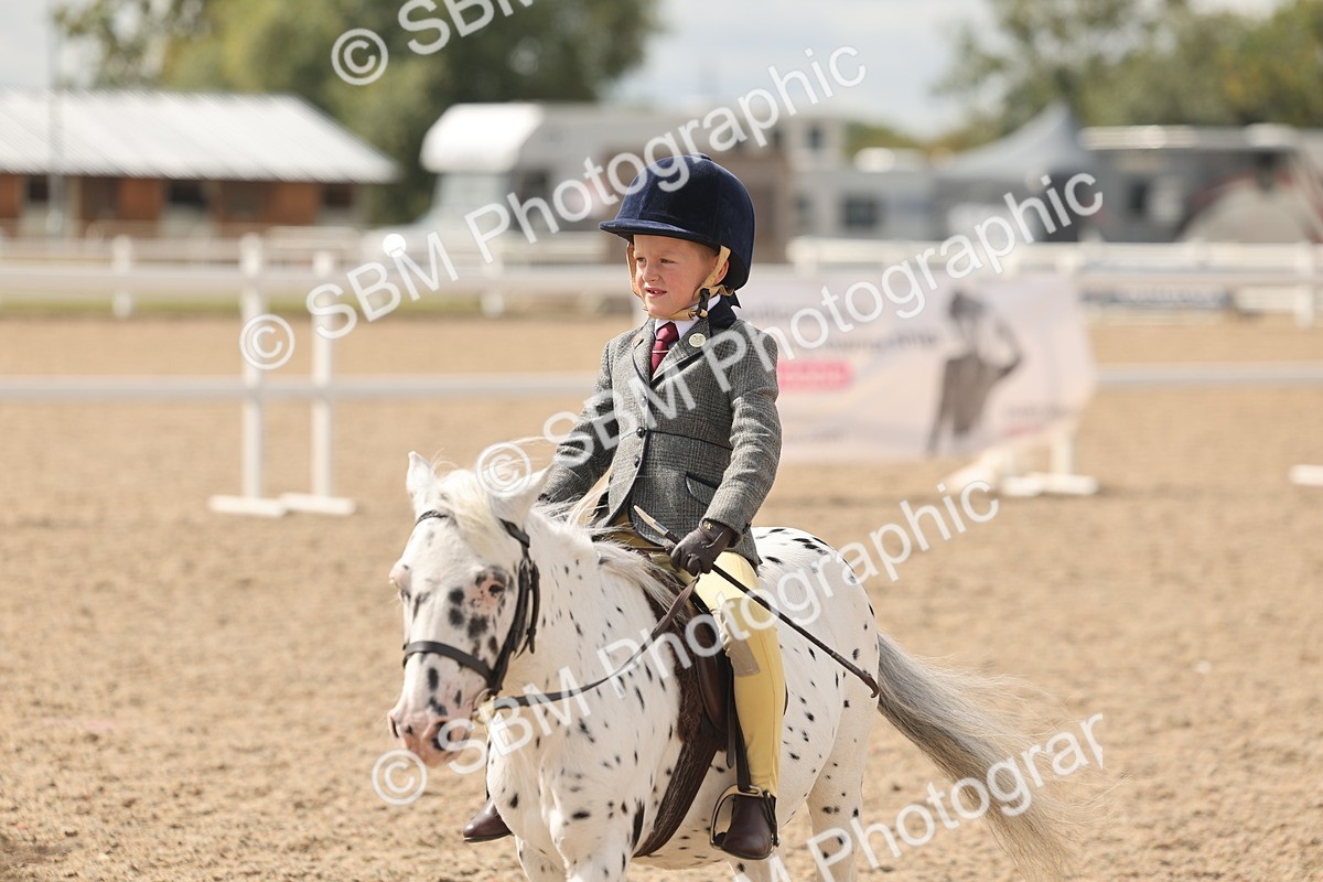 SBM_15909 - Class 310 - First Ridden Pony