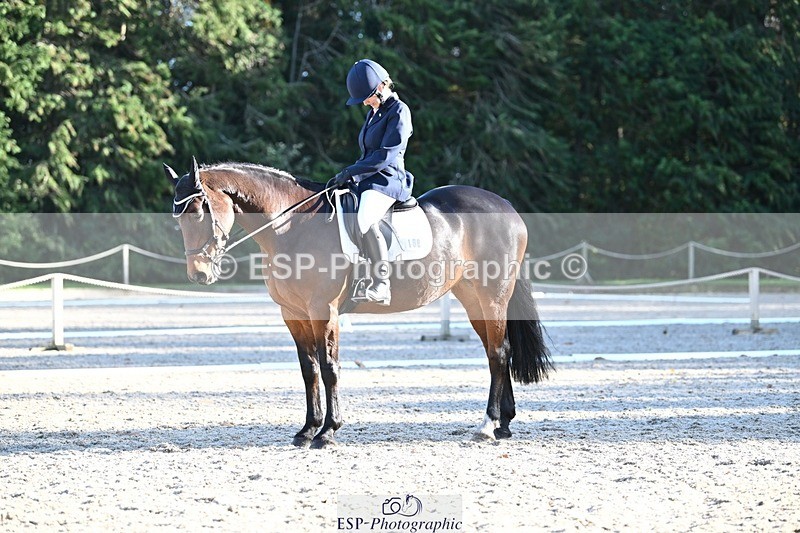 231110-132704-00948 - Cls 4 Novice 39Q