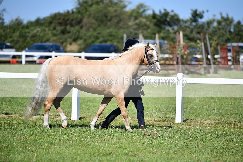 DSC_6403 - Class 53: NPS M&M 4 years and over Small Breeds