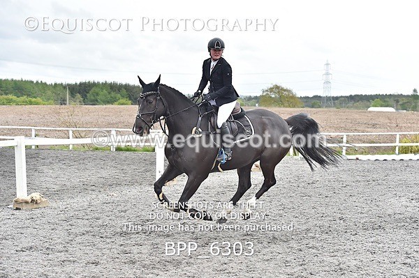 BPP_6303 - SUN CLASS 37 BR NOVICE/90CM