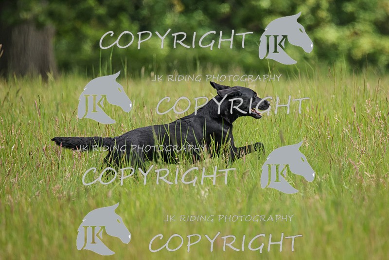 2R6A7765 - 27 Brighid