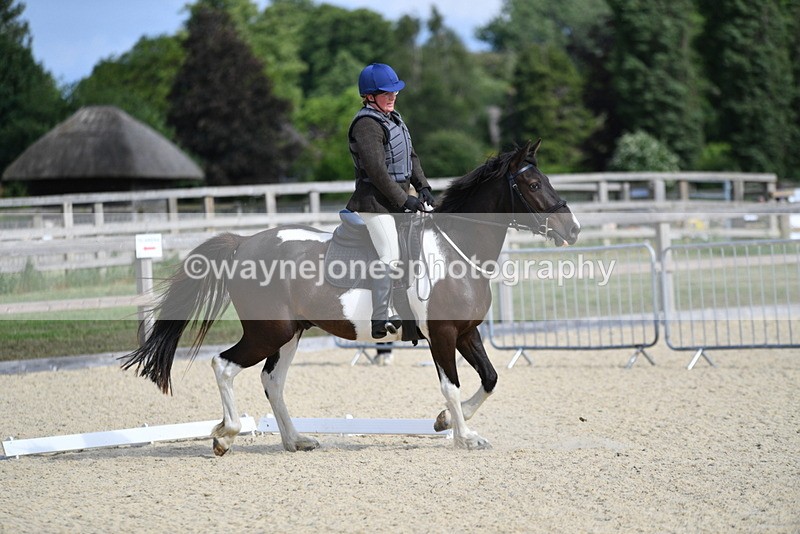 WJ5_7890 - Time 16:56 to 17:14