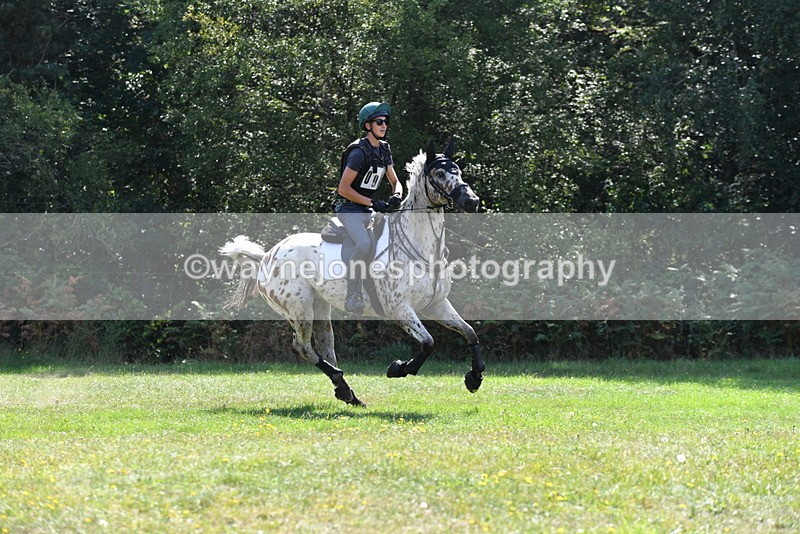 WJ5_2396 - XC Time 11:17 to 11:50