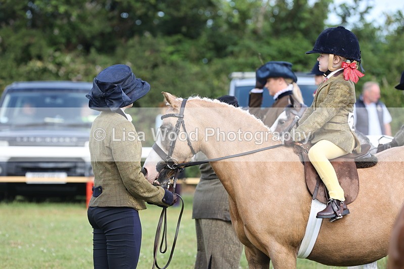 JPP_0421 - Class 14: Cornish Combination Leading Rein