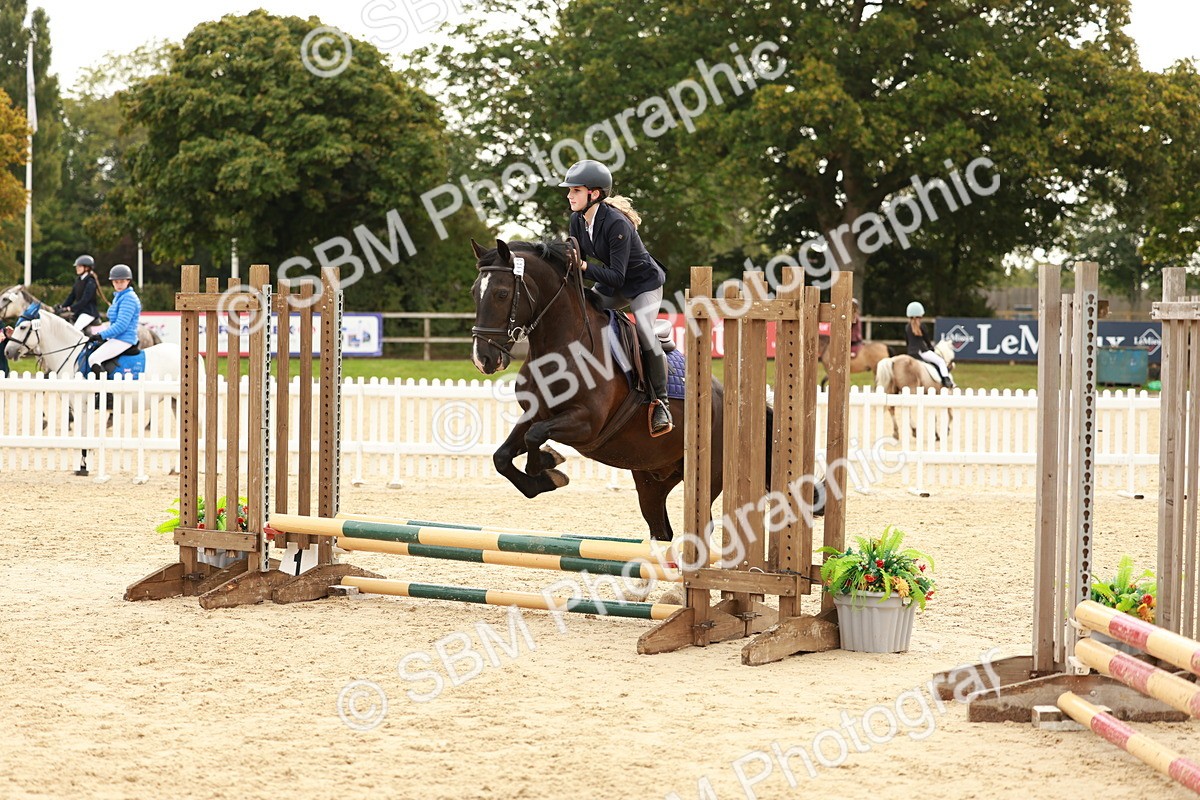 SBM_57804 - J11 - Junior Pony 50cm Championship
