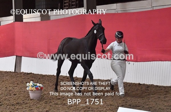 BPP_1751 - MORNING 9AM - 12PM