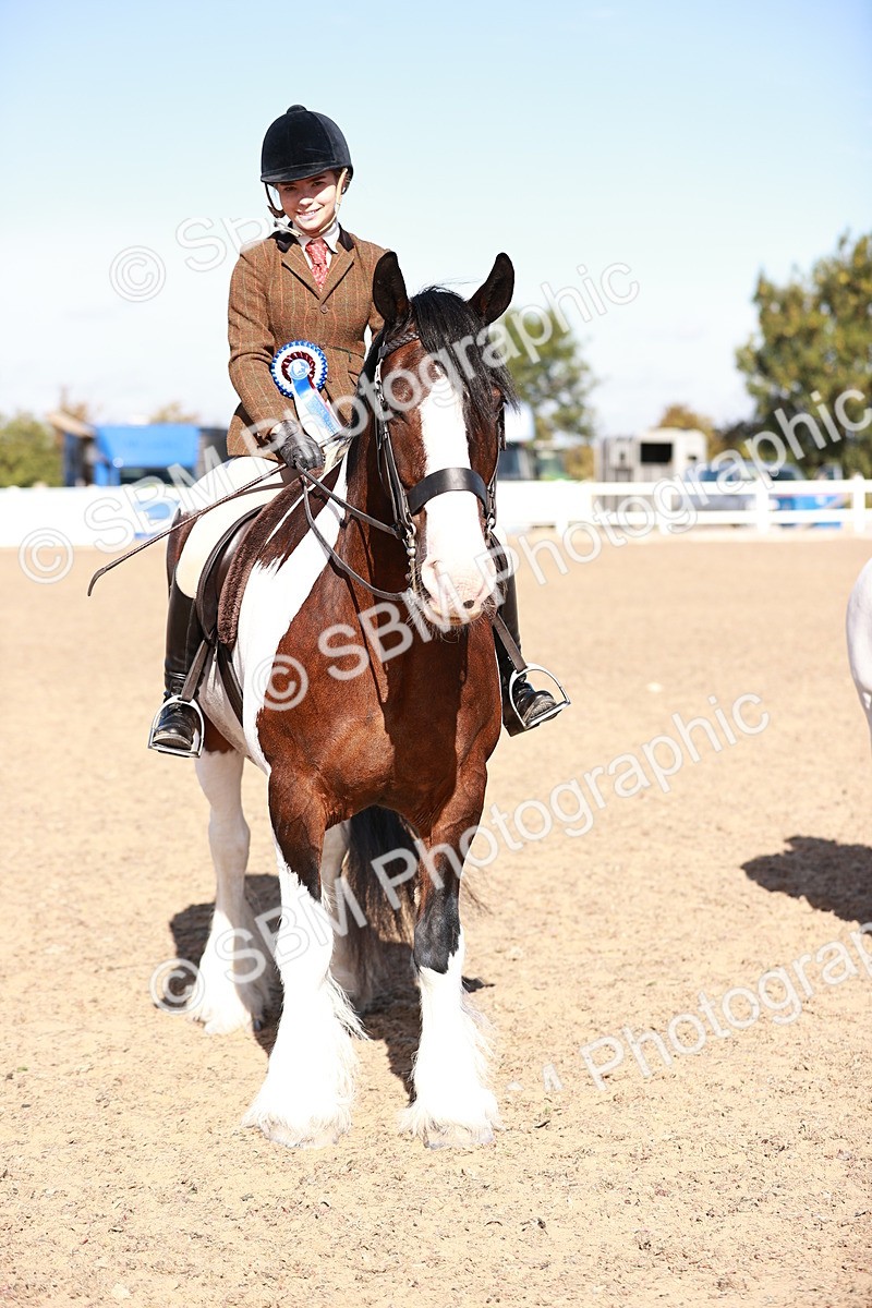 SBM_12535 - Class 403 - Grassroots Ridden - Junior