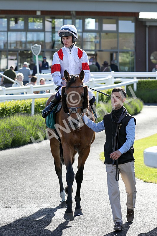 080624-Race 7-Starshine Legend-5127 - Race 7