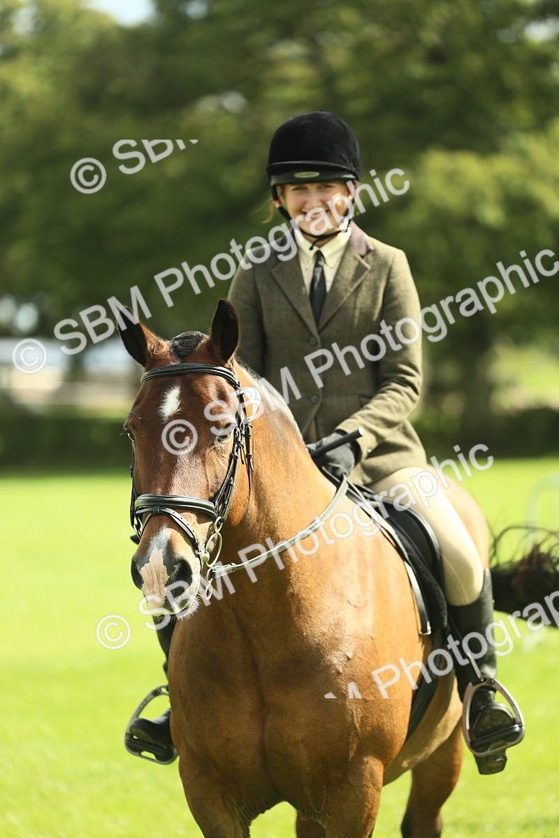 SBM_42146 - S29 - Novice & Newcomers Working Hunter Pony