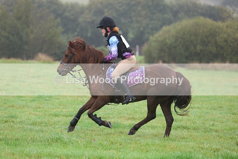 3E7A0775 - Class 1: 65cm: Rails