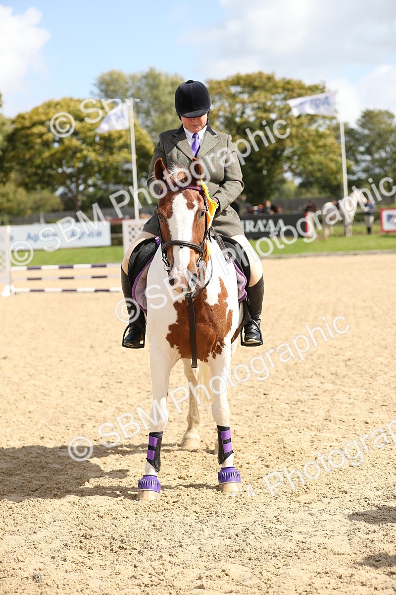 SBM_05832 - J35 - Veteran Rider 60cm