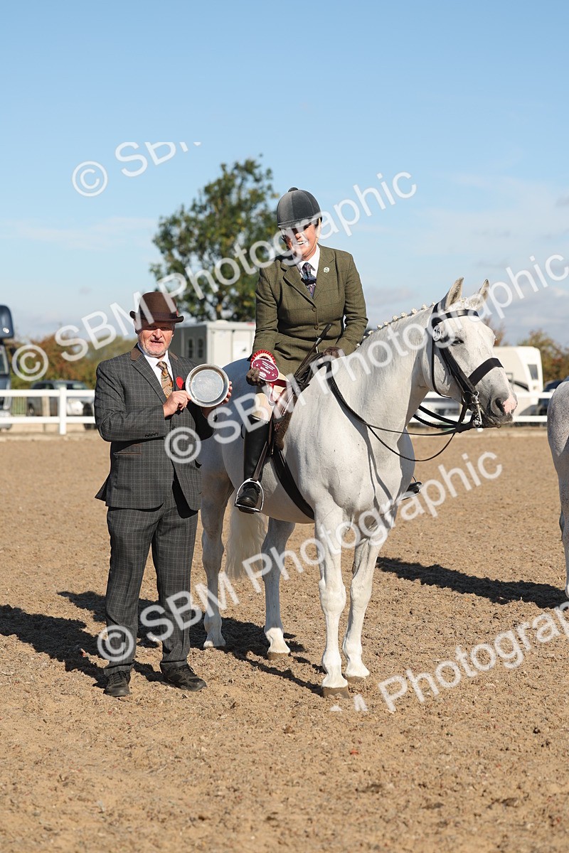 SBM_12230 - Class 303 - Ridden Pure Bred Horse Pony