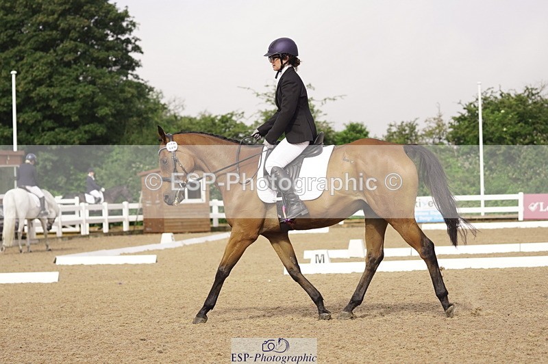 230708A-091616-00093 - Intro C